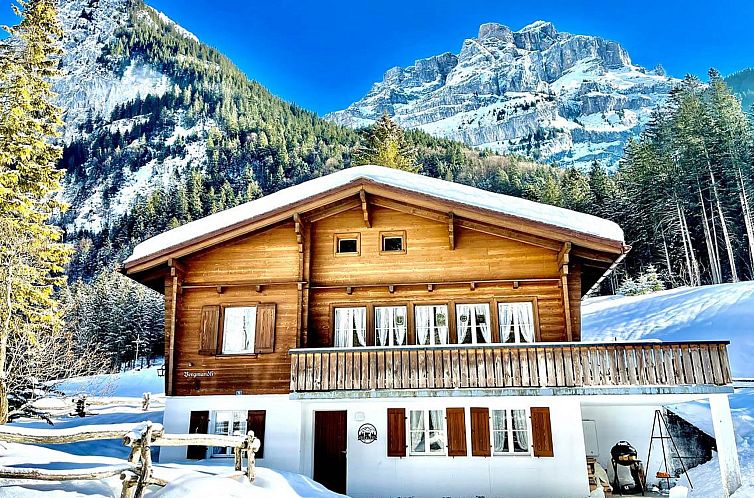 Appartement Chalet Bergmandli