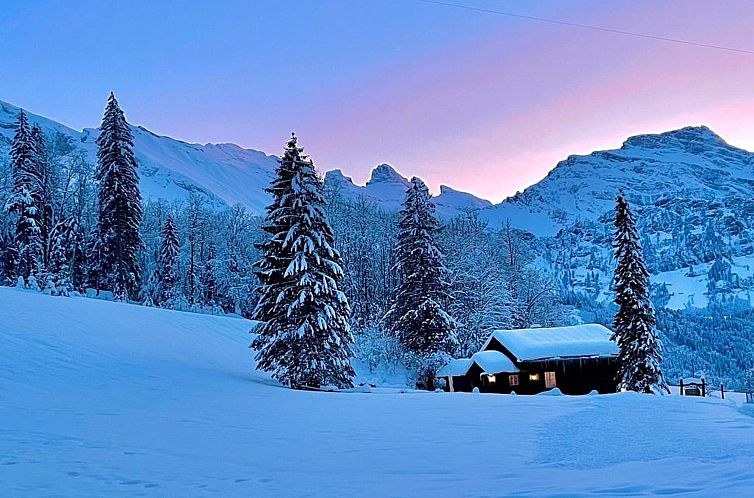 Appartement Chalet Bergmandli