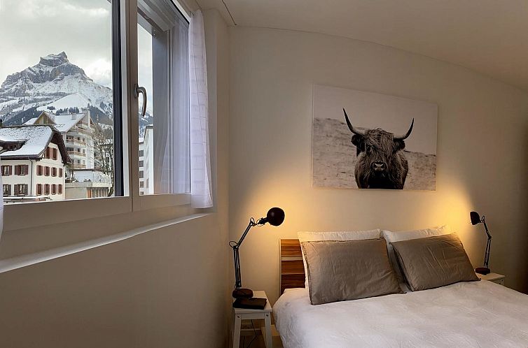 Appartement SnowKaya