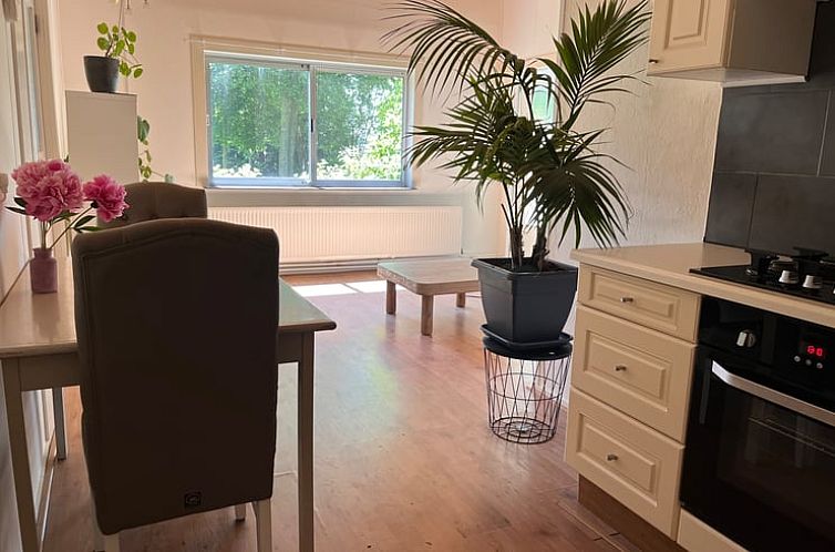 Vakantiehuis in Borger