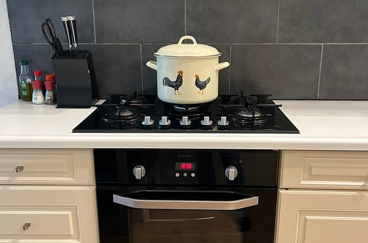 Vakantiehuis in Borger