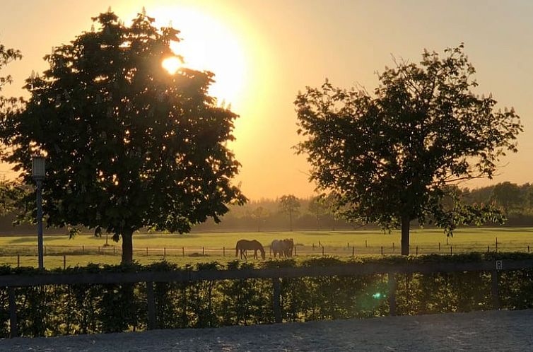 Vakantiehuis in Borger