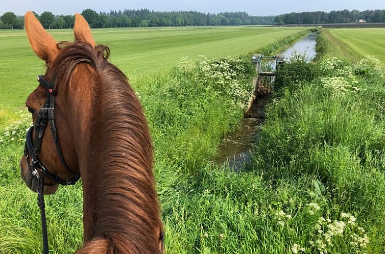 Vakantiehuis in Borger