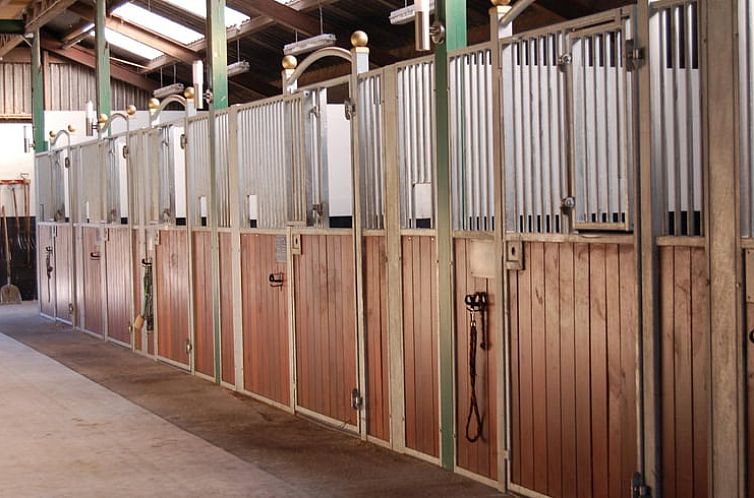 Vakantiehuis in Borger