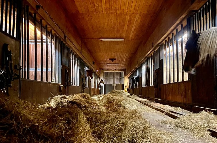 Vakantiehuis in Borger