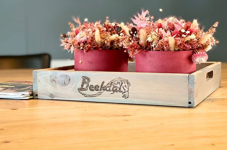 Vakantiehuis in Borger