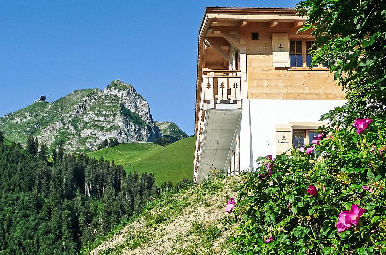 Vakantiehuis Chalet La Poya