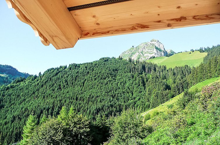 Vakantiehuis Chalet La Poya