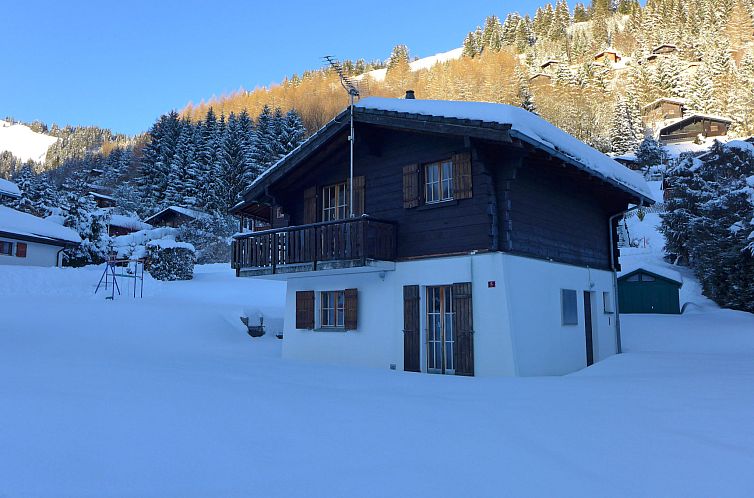 Vakantiehuis Chalet Castor