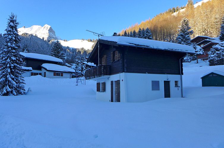 Vakantiehuis Chalet Castor