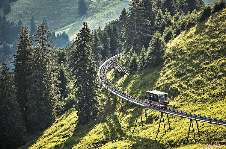 Vakantiehuis Chalet Castor