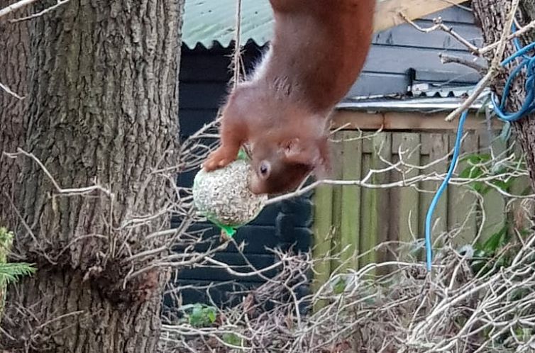 Vakantiehuisje in Schipborg