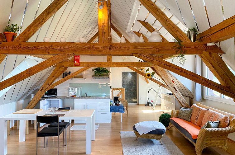 Appartement Arn's Dachstudio