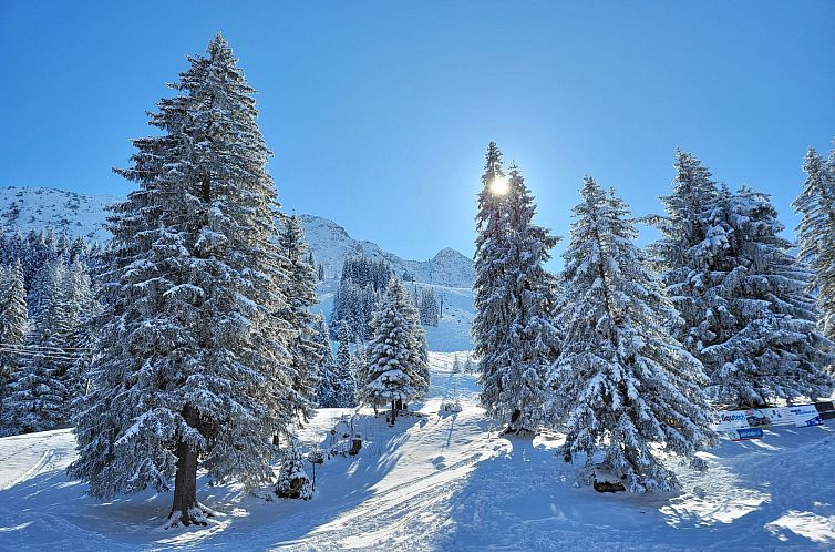 Appartement Fewo Pistenblick