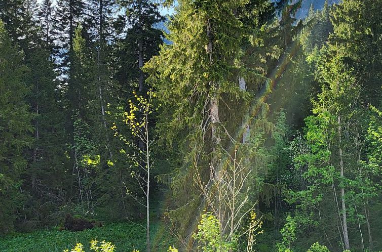 Appartement Fewo Pistenblick