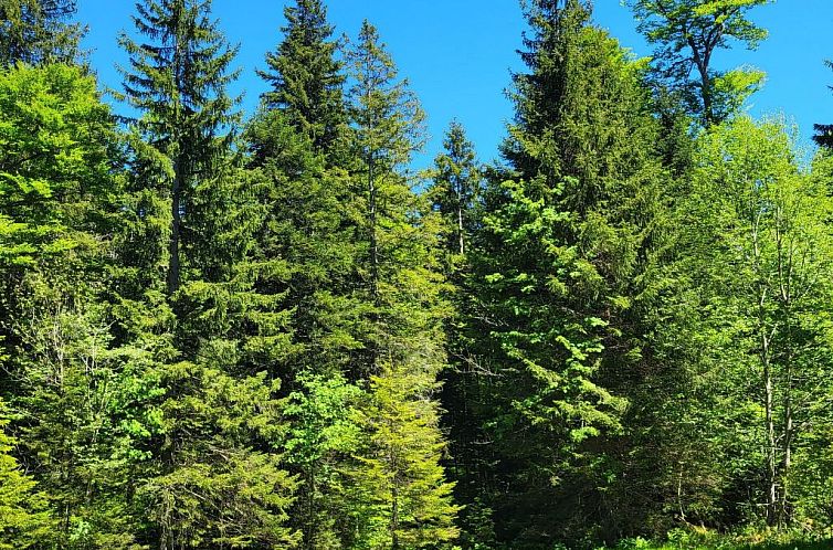 Appartement Fewo Pistenblick