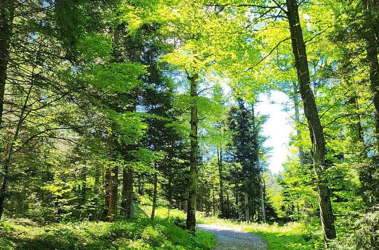 Appartement Fewo Pistenblick