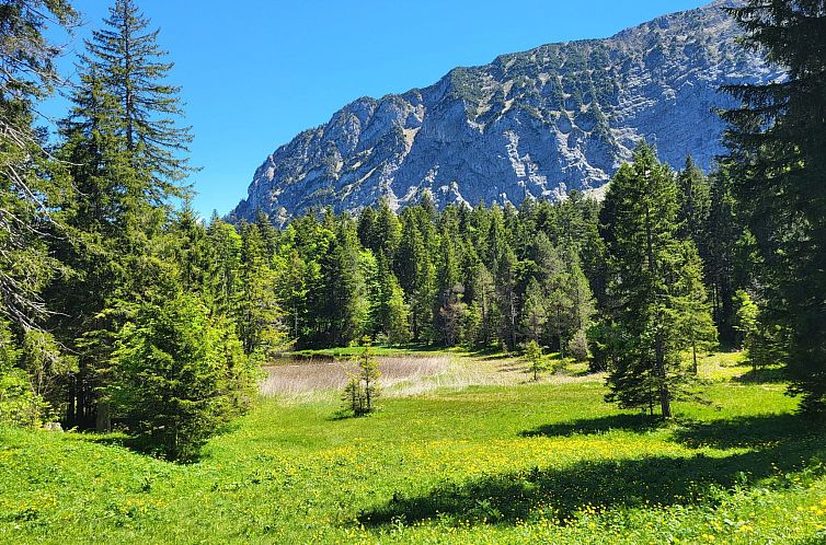 Appartement Fewo Pistenblick