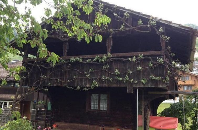 Vakantiehuis Ferienspycher Durrer-Röthlin
