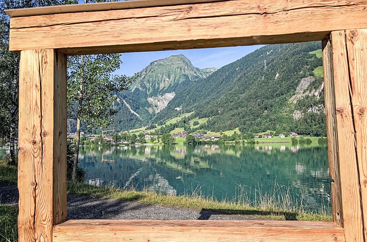 Appartement Ferienwohnung ENZian