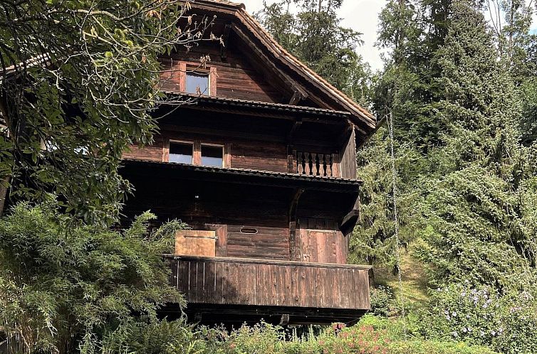 Vakantiehuis SPYCHER WEGGIS