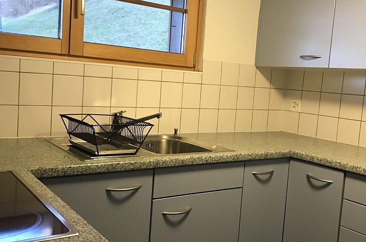Appartement Wintertschi
