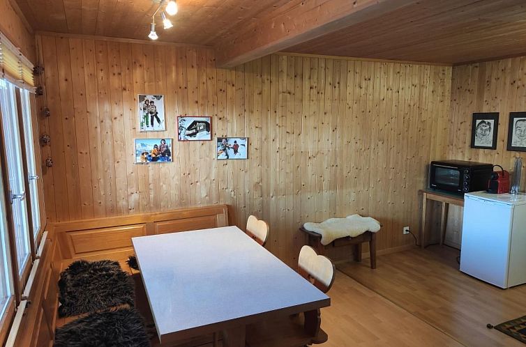 Appartement Chalet Hörler direkt im Ski- und Wandergebiet