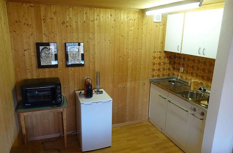Appartement Chalet Hörler direkt im Ski- und Wandergebiet