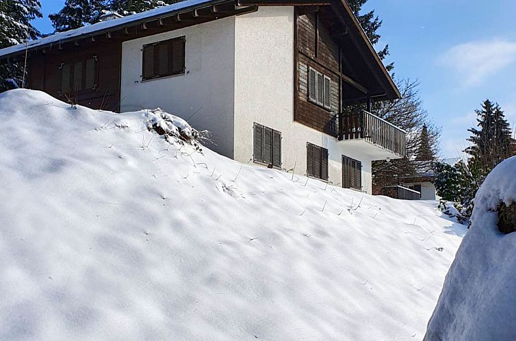 Vakantiehuis Gommiswald