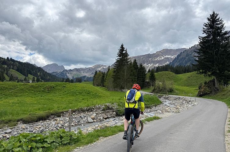 Appartement Moderne Ferienwohnung ROTHORN mit 2 Schlafzimmer