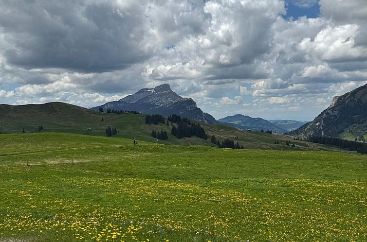Appartement Moderne Ferienwohnung ROTHORN mit 2 Schlafzimmer
