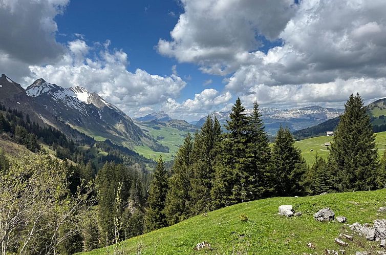 Appartement Moderne Ferienwohnung ROTHORN mit 2 Schlafzimmer