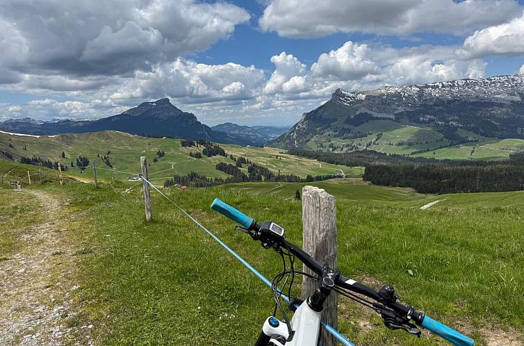 Appartement Moderne Ferienwohnung HEIMATLI mit 1 Schlafzimme