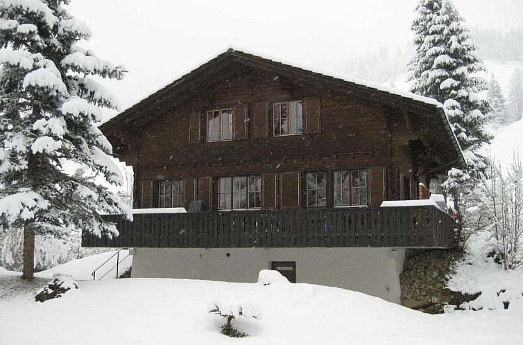 Vakantiehuis Rastflüehli