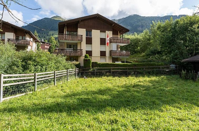 Appartement wohnung geiger