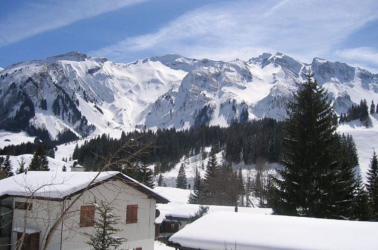 Appartement Haus Reanchme