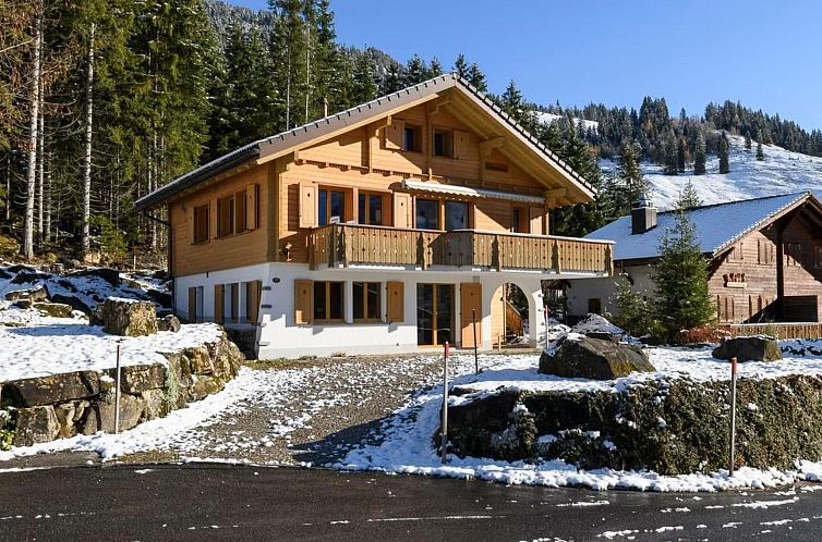 Appartement Rothornblick