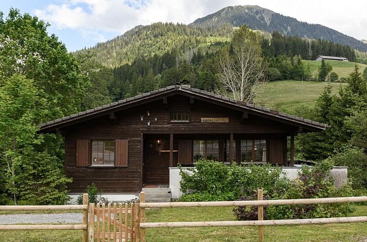 Vakantiehuis Chalet Baslerdybli
