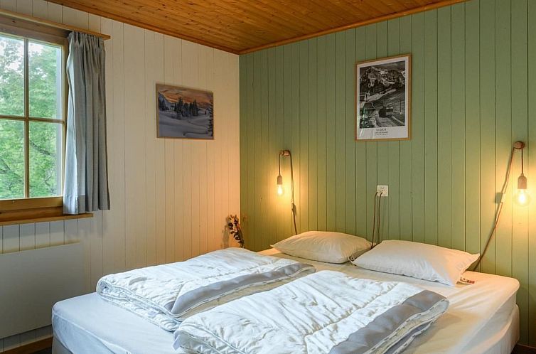 Vakantiehuis Chalet Baslerdybli