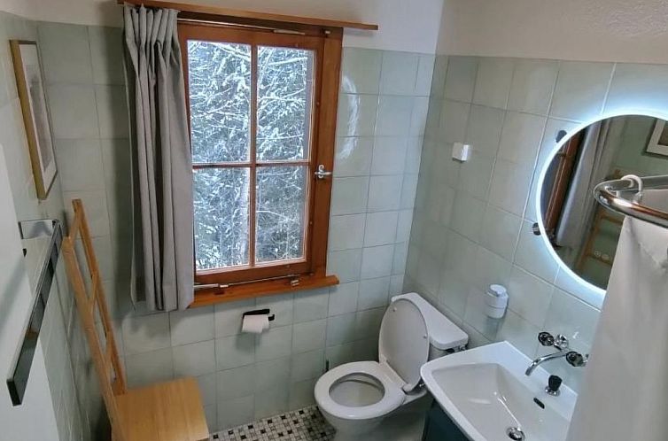 Vakantiehuis Chalet Baslerdybli