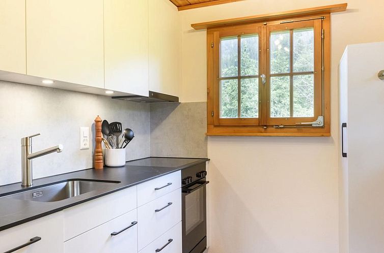 Vakantiehuis Chalet Baslerdybli