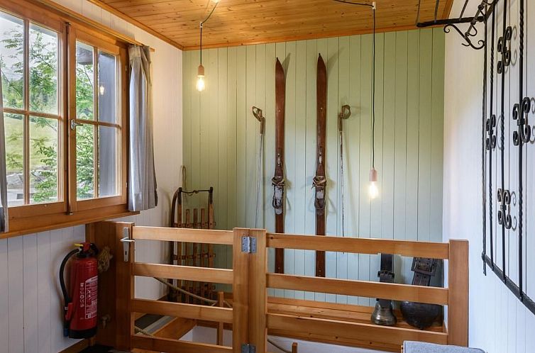 Vakantiehuis Chalet Baslerdybli