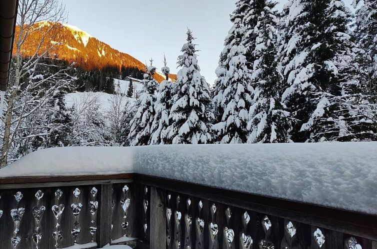 Vakantiehuis Chalet Baslerdybli
