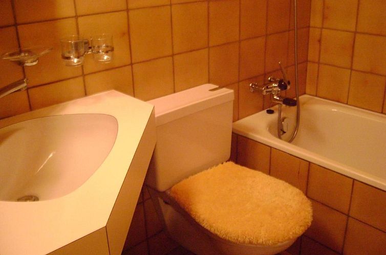 Appartement Wohnung Hirschi