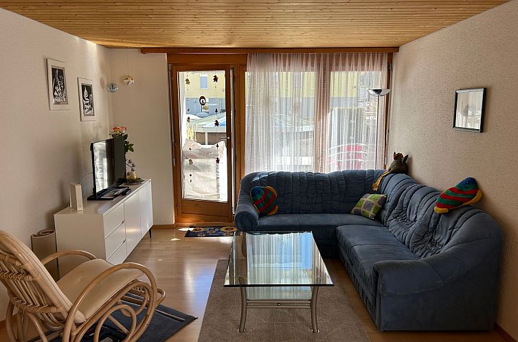 Appartement Wohnung Hirschi