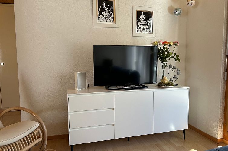 Appartement Wohnung Hirschi