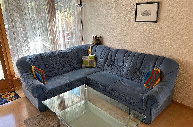 Appartement Wohnung Hirschi