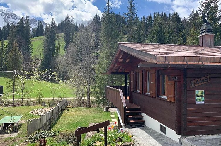 Vakantiehuis Chalet Bambi