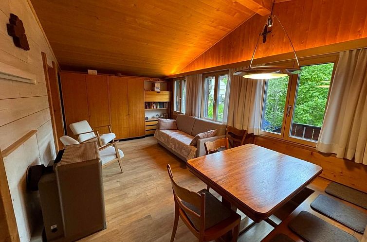 Vakantiehuis Chalet Bambi