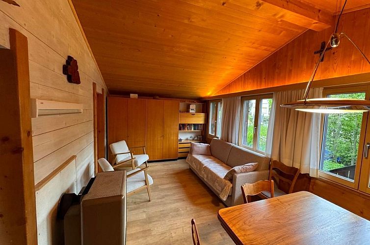 Vakantiehuis Chalet Bambi